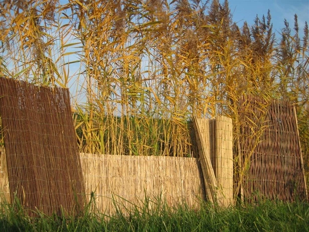 Wilgenenscherm 180 x 180 cm (1800 x 1800 mm) - Afbeelding 3